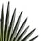 Tropical Fan Palm Stem by Ashland®